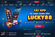 Cùng lucky88club.net tìm hiểu trò chơi đá gà